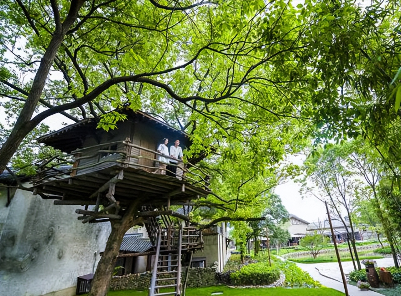 乌村一日游路线,乌村观光游是什么