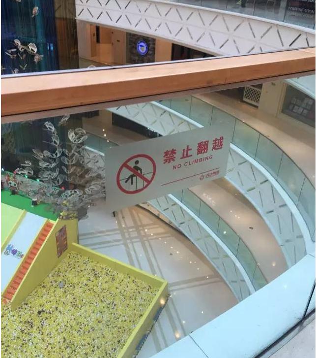 上海科技馆坠楼事件最后处理结果,上海科技馆母女坠楼事件是真是假