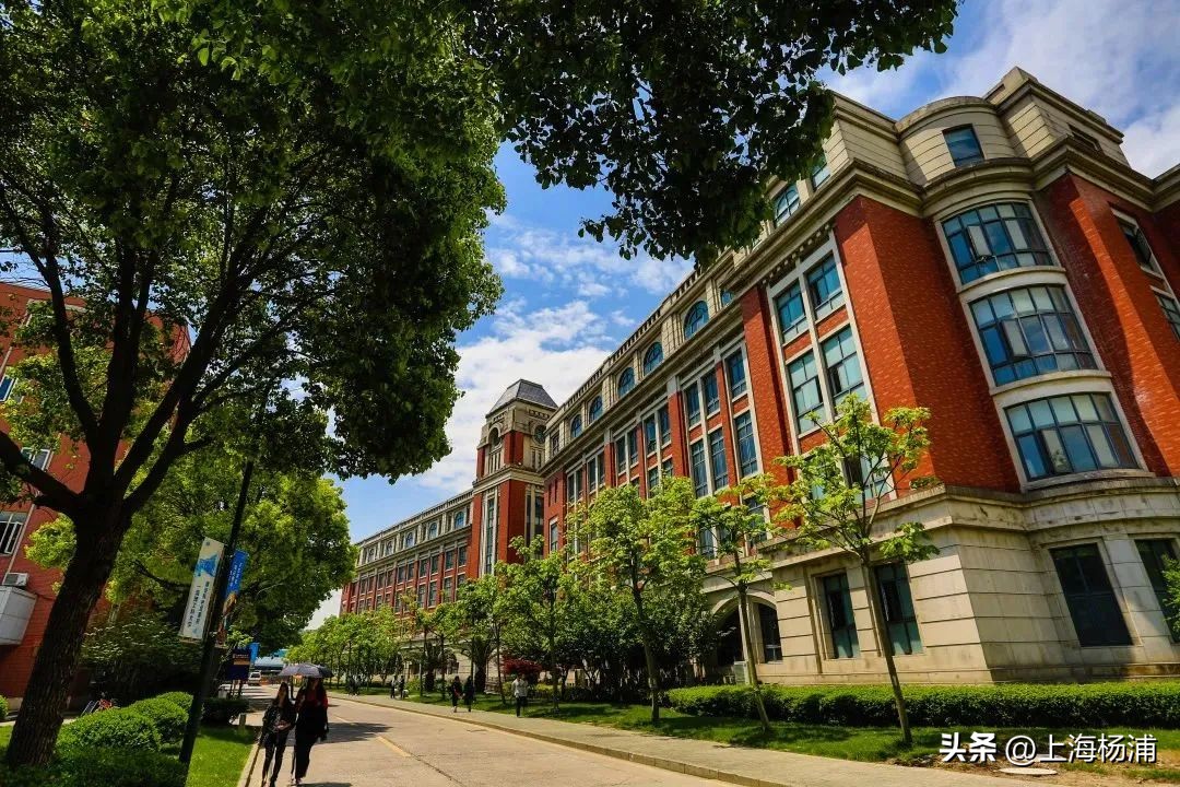 上海理工大学招收台湾生简章,上海大学2023招生简章中外合作