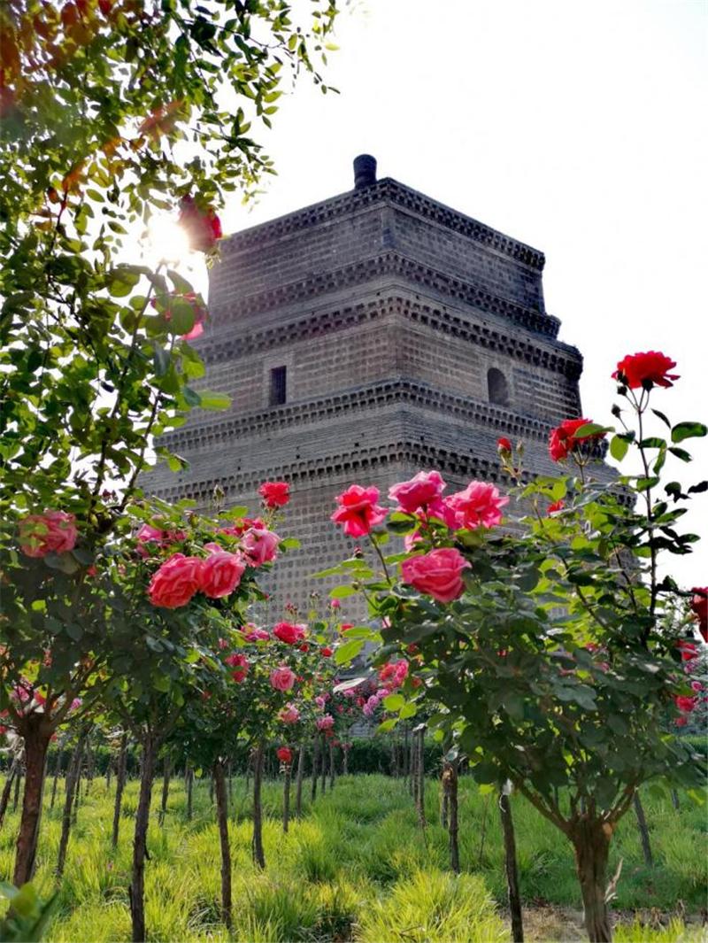 【行走河南·读懂中国】打卡开封精品旅游线路之历史体验篇