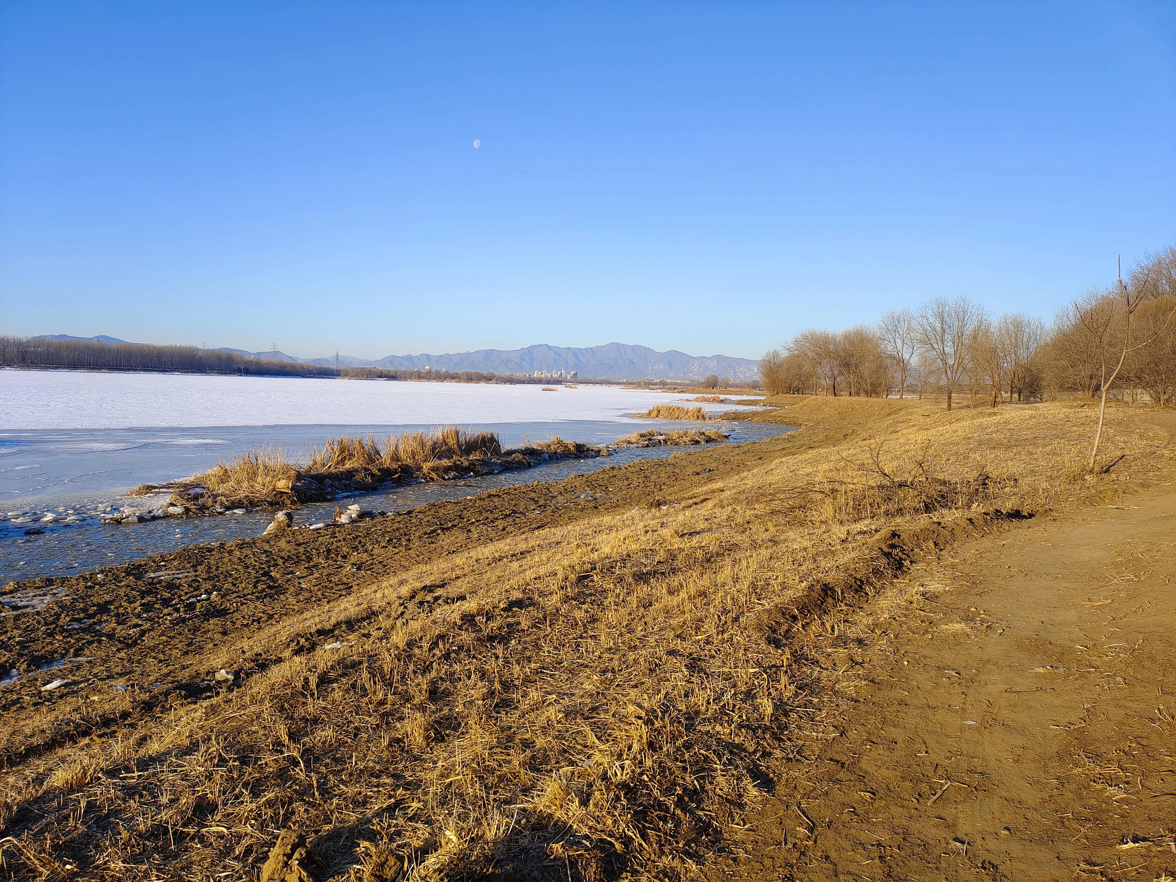 又是新的一周表情包,又是新的一周开始了图片