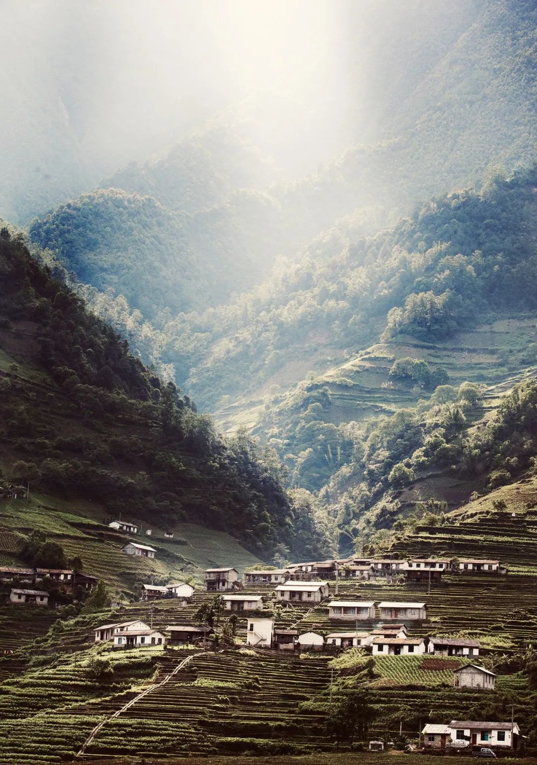 TDD.L案例｜昆明翠湖亚朵酒店：随遇而安，心之所向