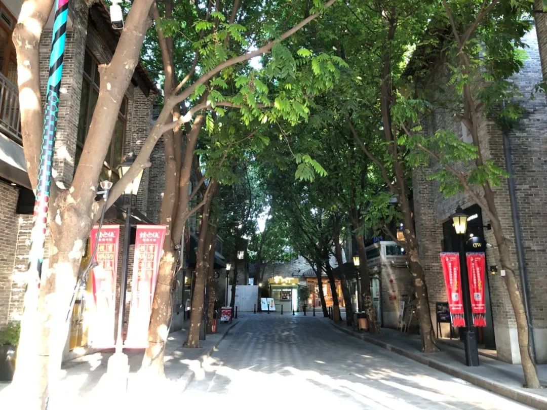 数百亿重仓武汉！不赚快钱的瑞安，赚到了什么？