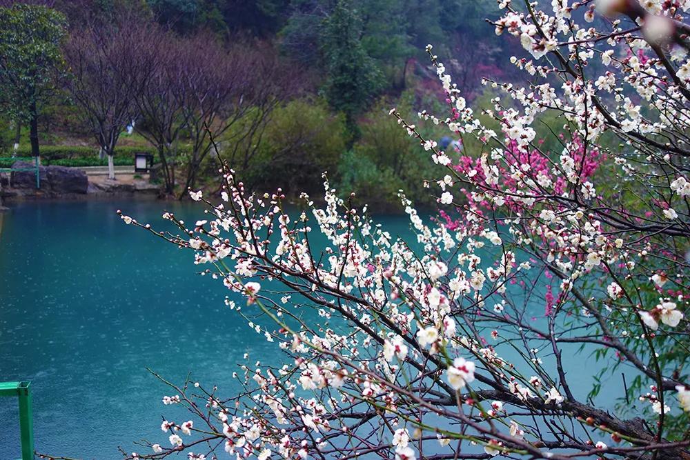 预测刷屏！疫情今春有望结束？适合2月去的18个大美山河准备好了