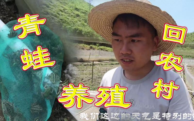 回家搞养殖一年赚十几万,农村养殖年入10万