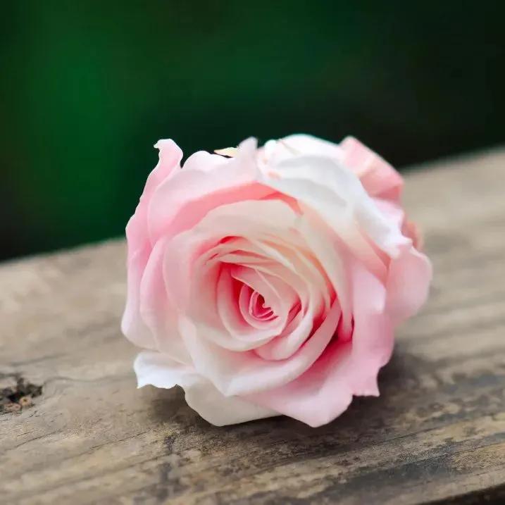 王昌龄最著名的十首诗朗读,王昌龄最著名十首诗