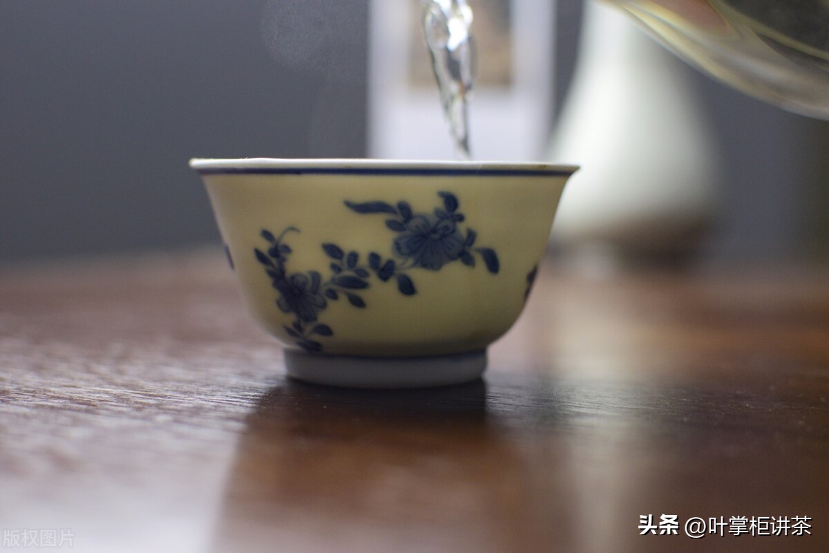 白毫银针出自哪里,白毫银针是什么茶树产的