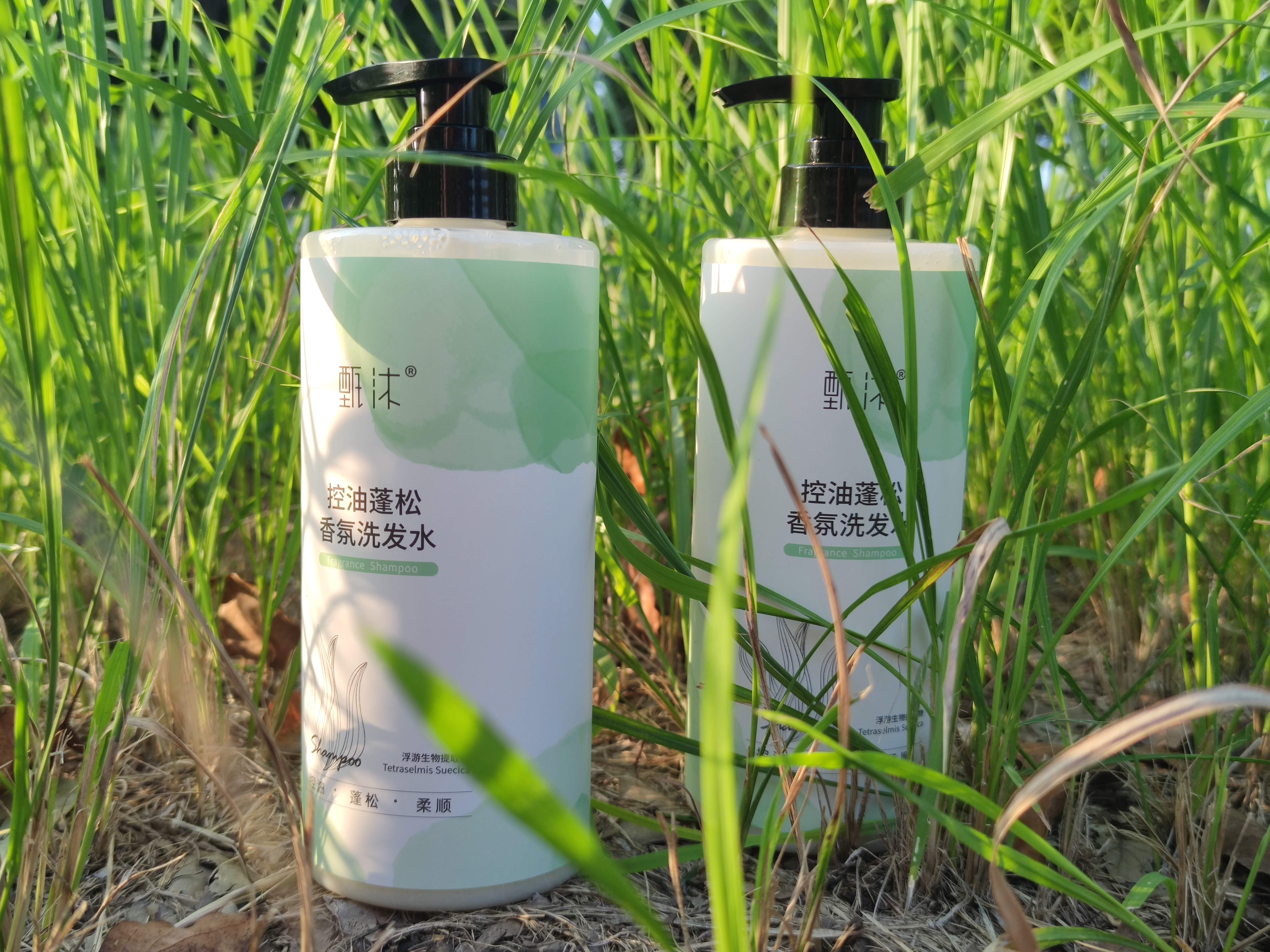 甄沐洗发水好不好,甄沐洗发水新品