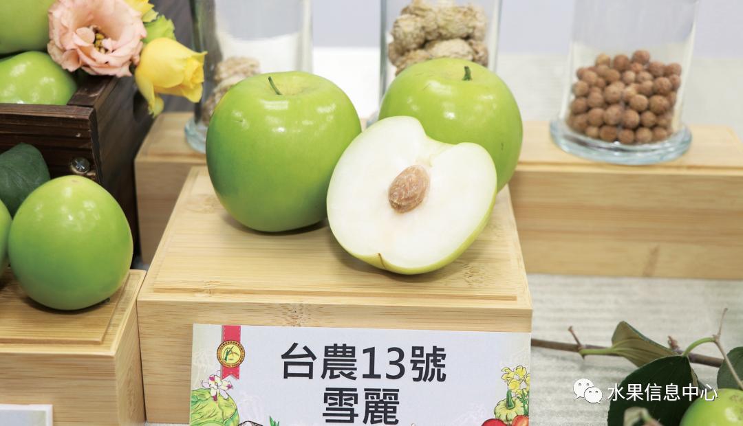 牛奶枣大青枣,牛奶枣和大青枣哪种好吃