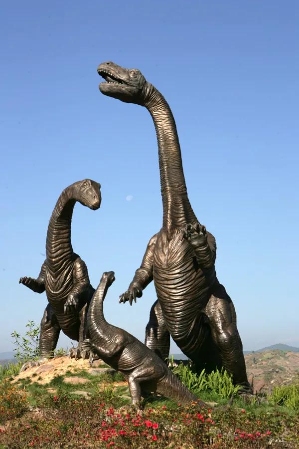 中国的恐龙谷,世界恐龙谷历史