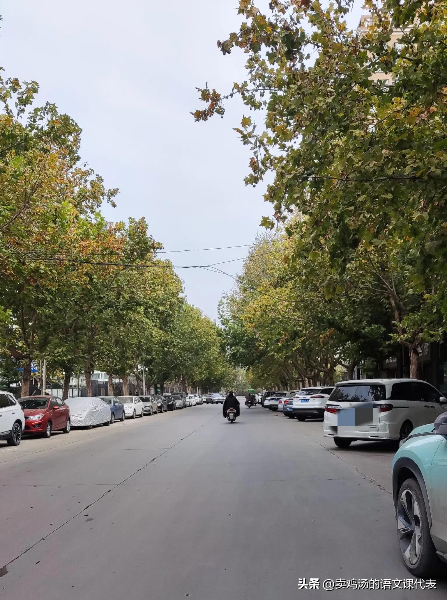 孕妇怀孕12周阳了怎么办,怀孕12周孕反更严重了怎么办