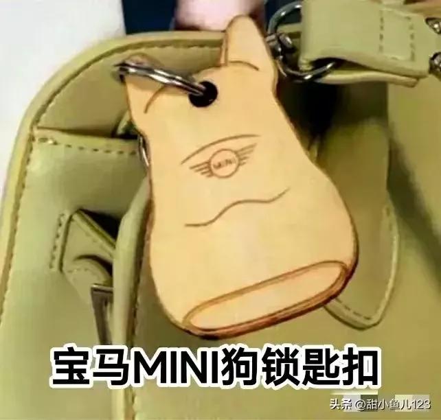 宝马mini事件再度升级,官方评价宝马mini事件