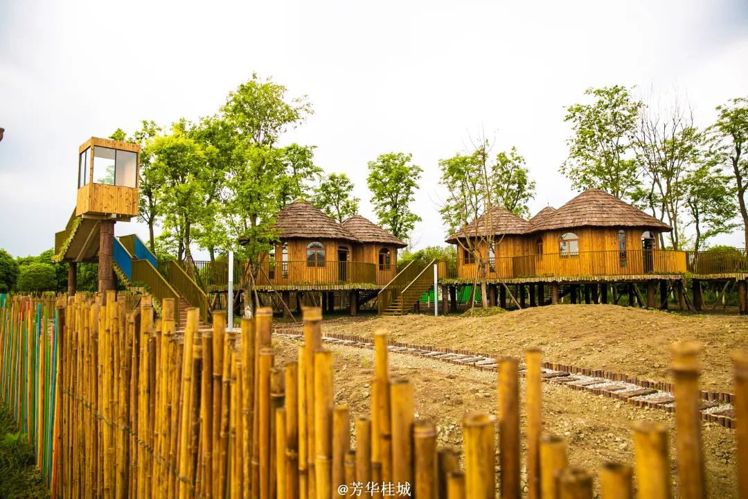 四川中医药健康旅游示范基地简介,四川休闲旅游去哪里比较好玩
