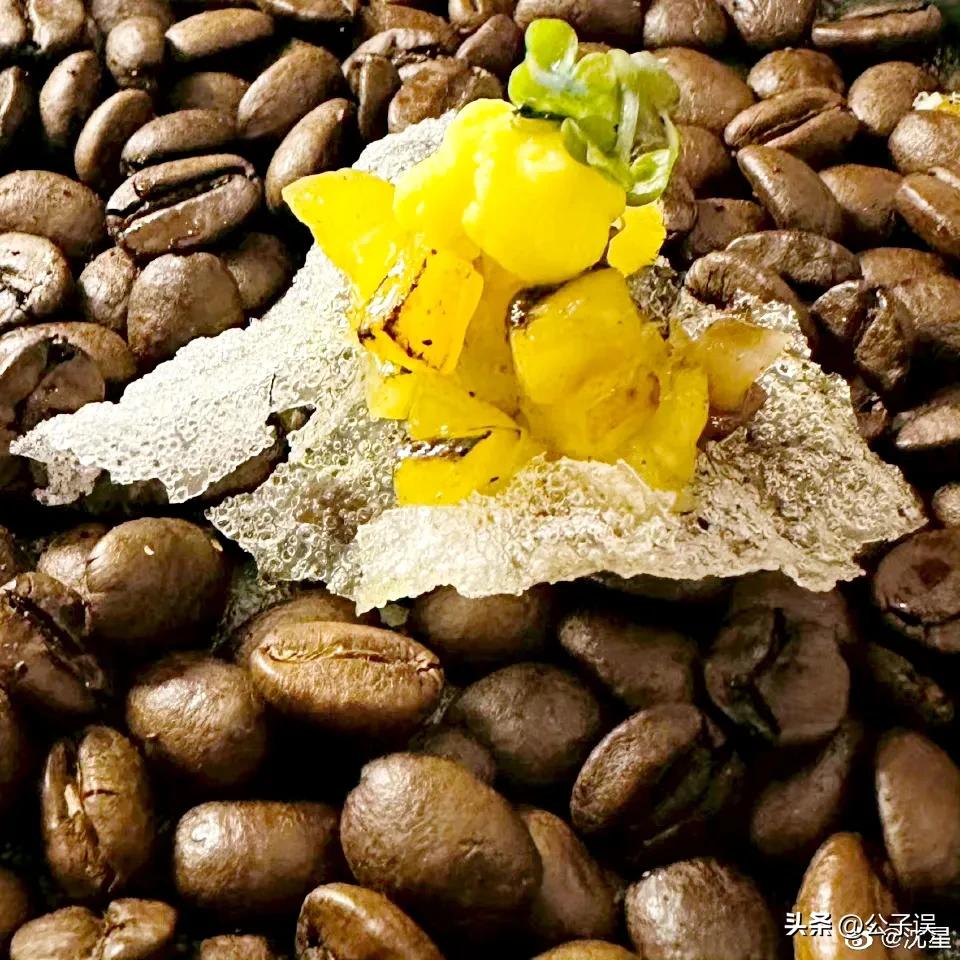 一张和冯小刚的“夜宿门”照片,彻底撕下了沈星的遮羞布