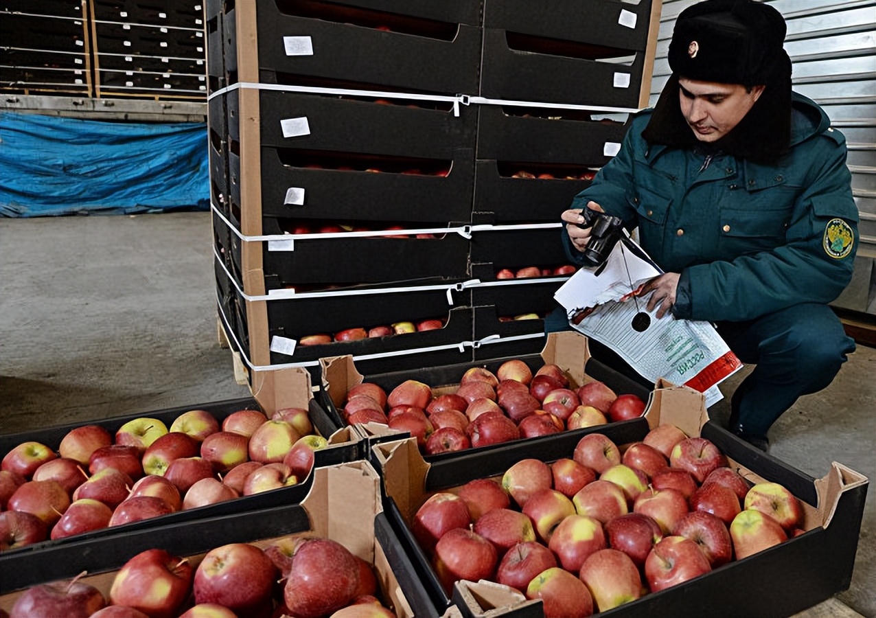 我在俄罗斯工作时候的中国同事，为了赚外快，偷偷帮人带*私走**物品