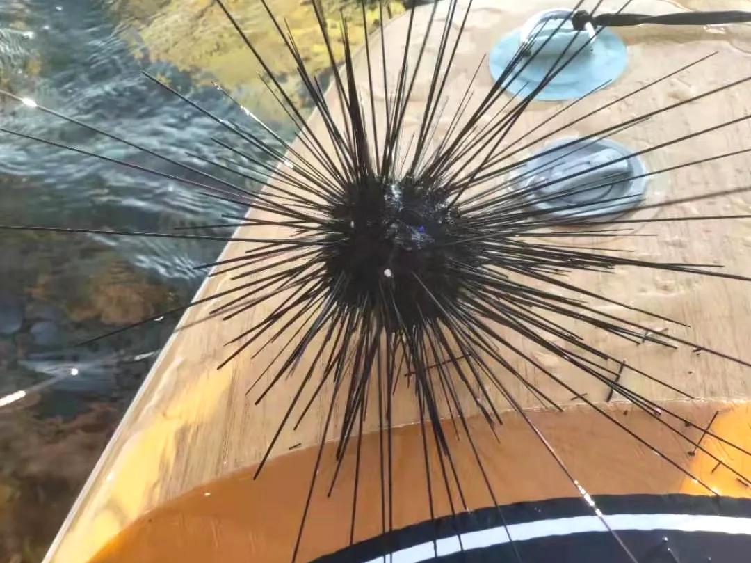 深圳三门岛旅游攻略路线,广东深圳三门岛旅游