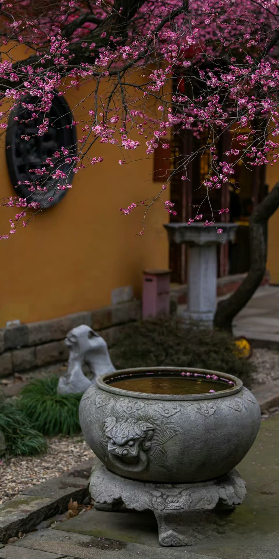 春暖花开的唯美散文,春满人间美文