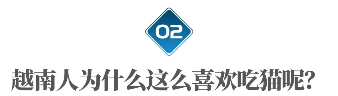 越南为什么没有苍蝇蚊子,越南为什么没有大熊猫