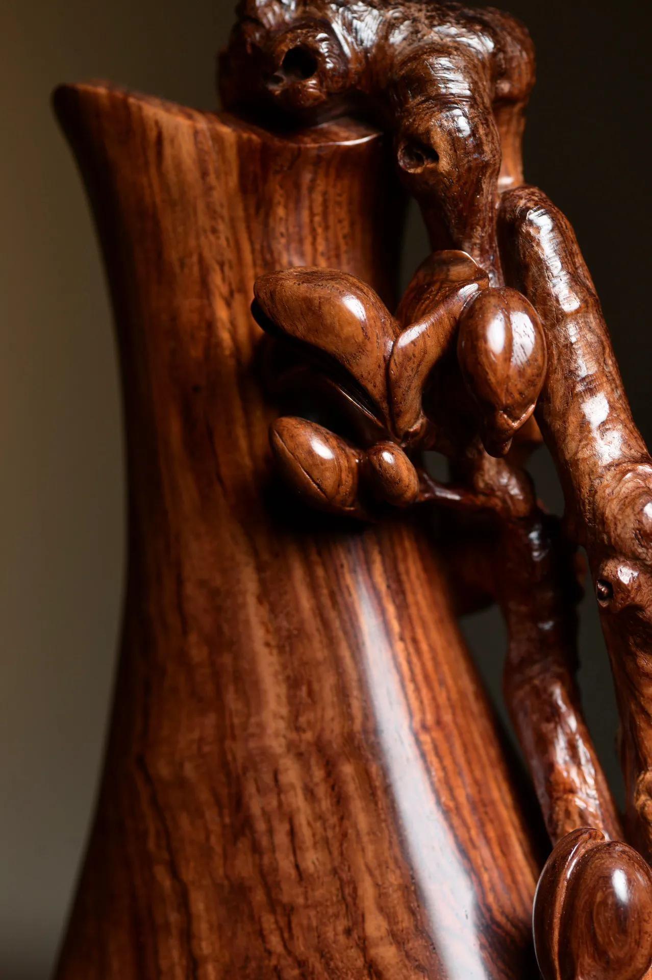 金玉满堂之满汉全席,金玉满堂花怎么养