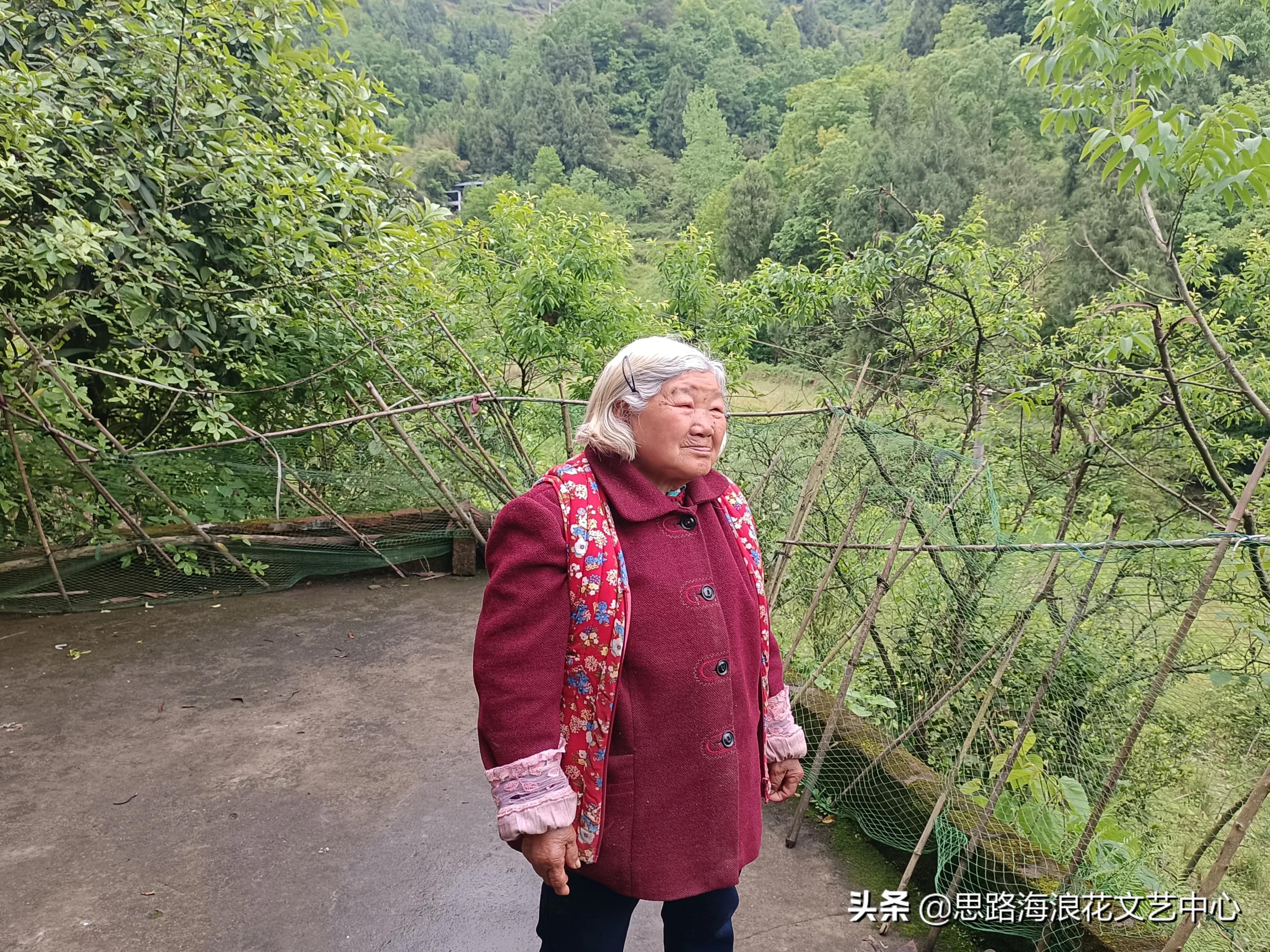 刘邦项羽玄幻小说,刘邦项羽有声小说