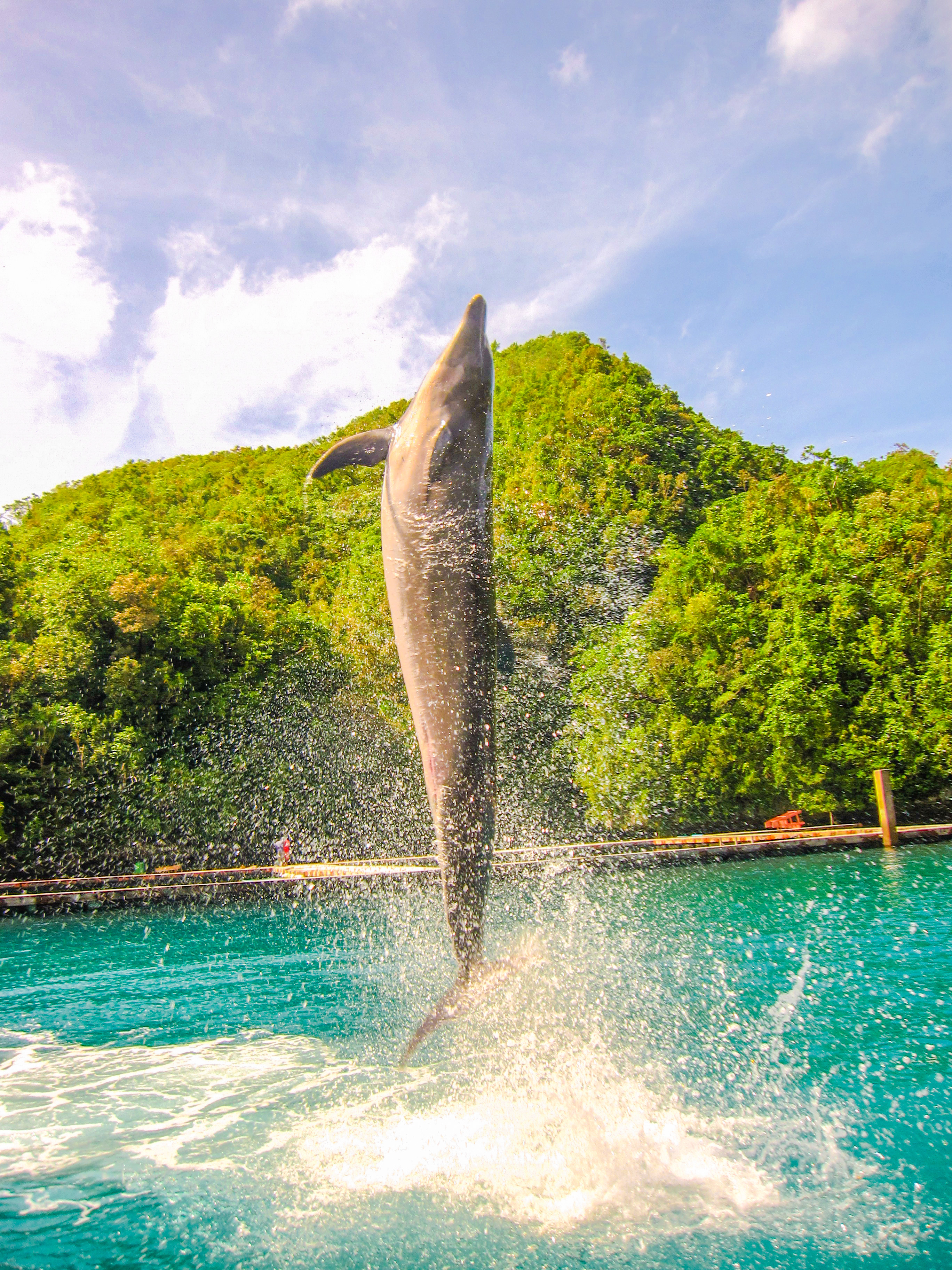 孤悬在太平洋上的岛国，帕劳，人生最值得一去的旅游目的地之一