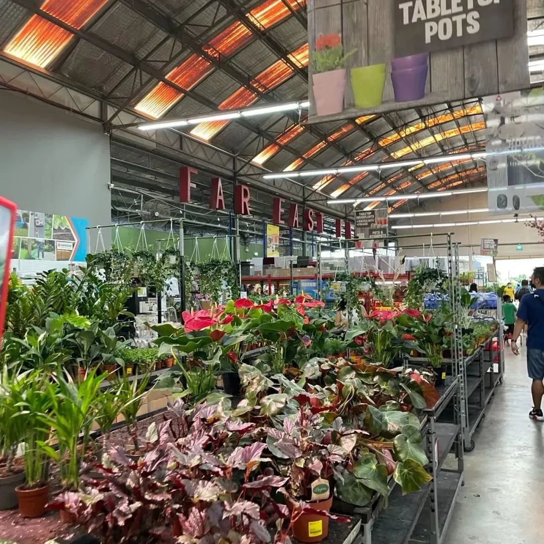 新手必看鲜花养护攻略,鲜花在水里能养几天会死