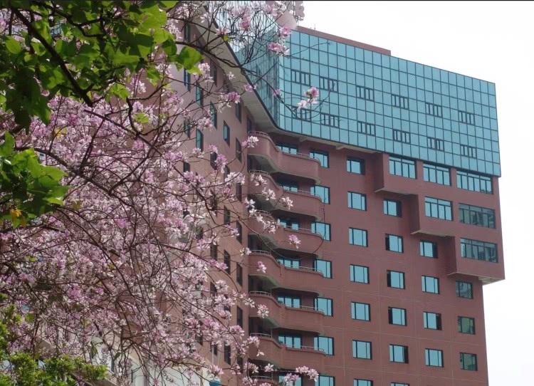 赏城中美景，品厦门味道。城市中心C位酒店，毗邻植物园、中山路