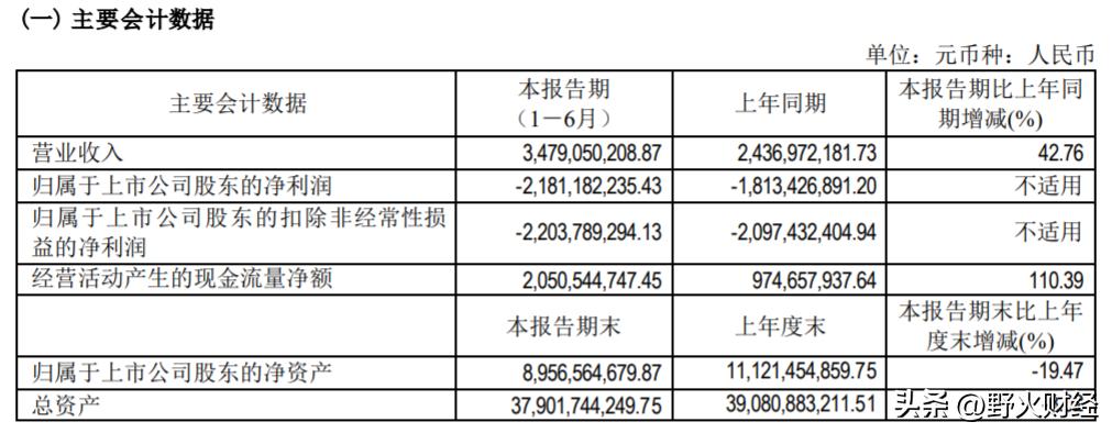 北汽蓝谷预计半年报亏损,北汽蓝谷巨亏还能盈利吗