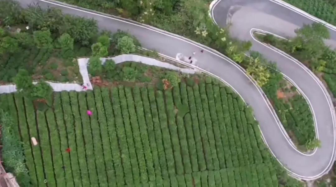 神农架上的民宿,神农架风景民宿推荐