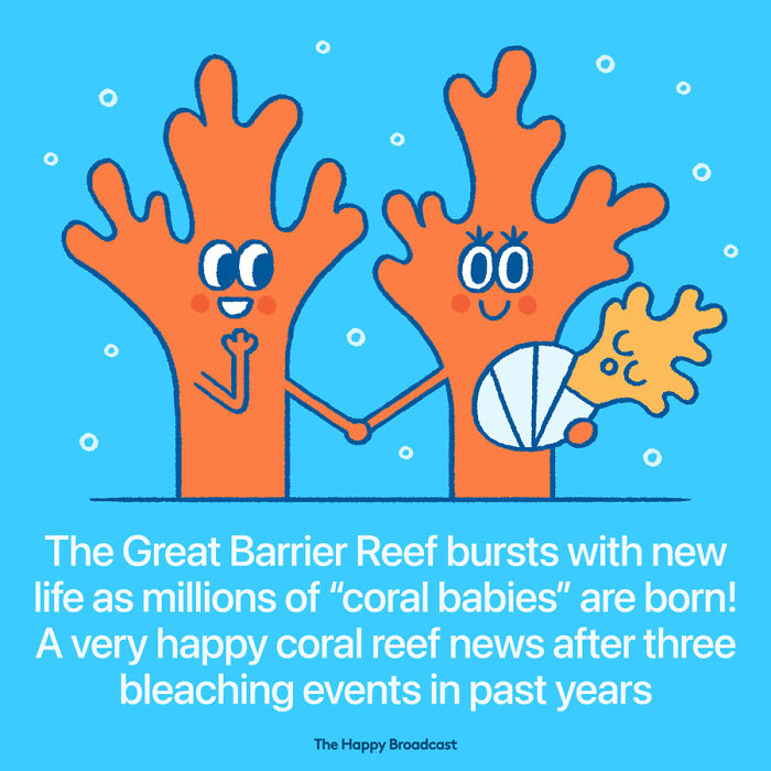 2021年世界各地的40个好消息，在沉重的一年，也能看到一些阳光