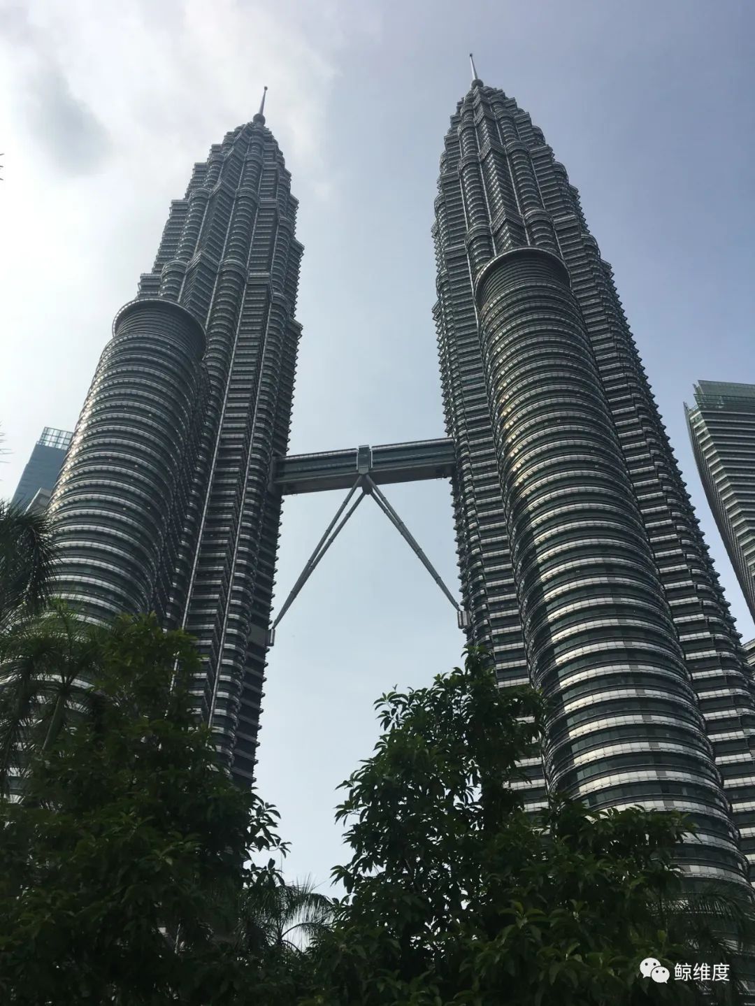 新能源汽车潮,新能源车企井喷