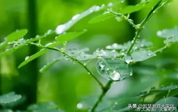 我眼中的高质量生活,我眼中的高顿教育