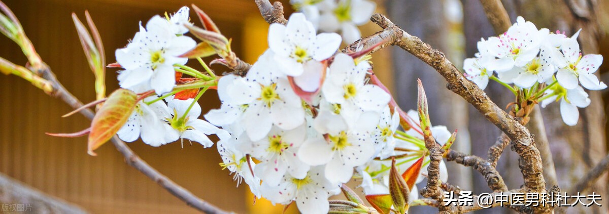 瀹楃瓔鐭皬鏄厓姘斾笉瓒冲悧,瀹楃瓔鐭皬鏄槼姘斾笉瓒冲悧