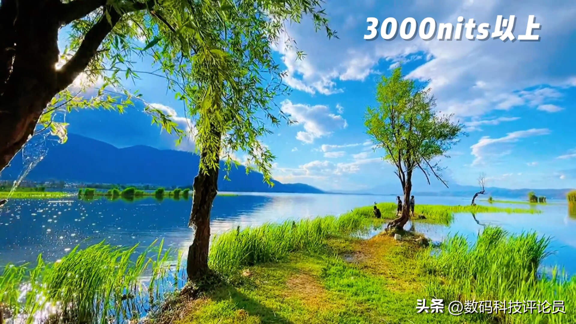 tclq10h的对比度调到多少是最佳,tclq10峰值亮度