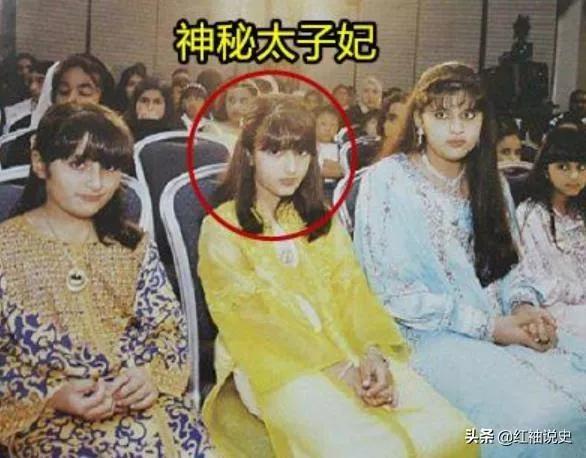 迪拜王子哈曼丹写情诗,迪拜哈曼丹王子兄弟