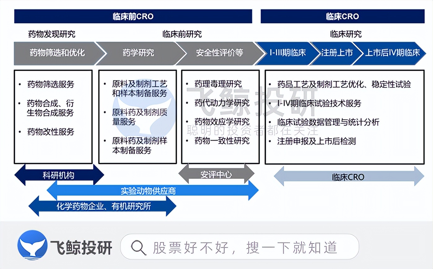 一只小白鼠多少钱,一只小白鼠要多少钱