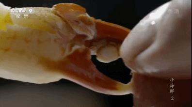 东海最后一处冷门小县城，藏了个海上仙子国，一口小海鲜封神