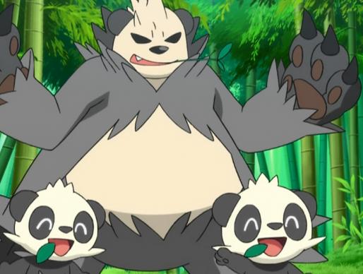 精灵宝可梦xy顽皮熊猫,顽皮熊猫如何进化成流氓熊猫