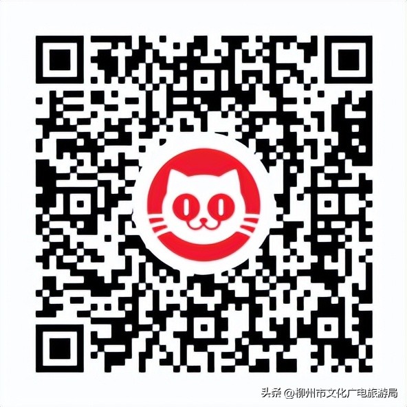 柳州原创歌曲大全,柳州经典音乐会