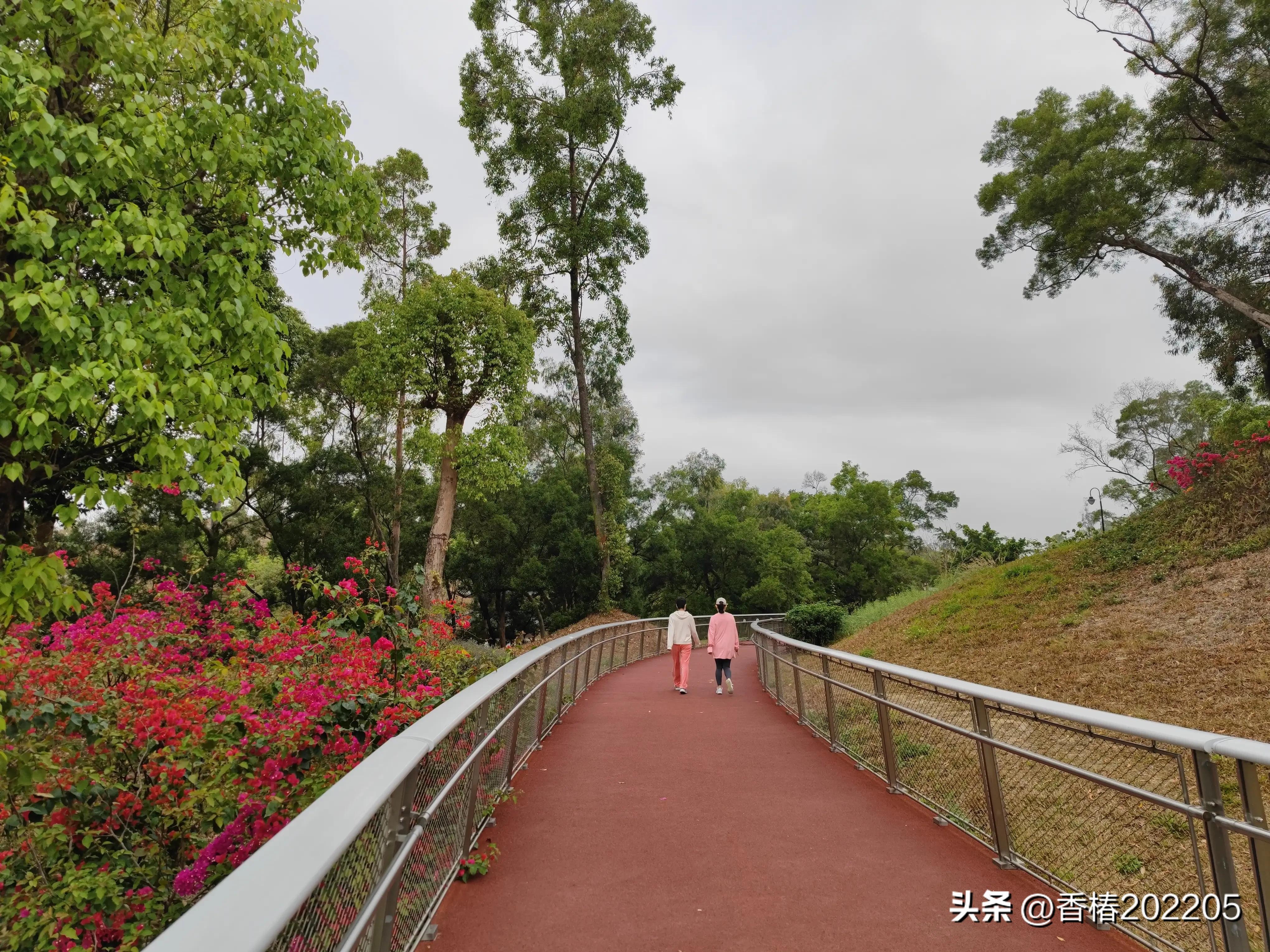 珠海香山云道,香山云道