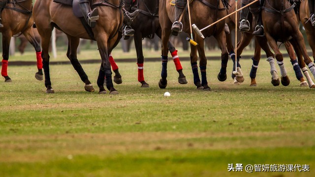 去了上海才知道的上海冷知识,原来真正的上海在哪里呢