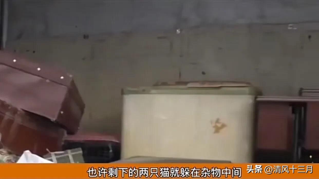 出租房租客不搬离怎么办,房屋出租他不给租金又不走怎么办