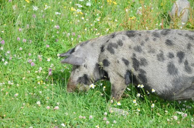 欧洲顶级徒步路线,全球绝美顶级徒步路线