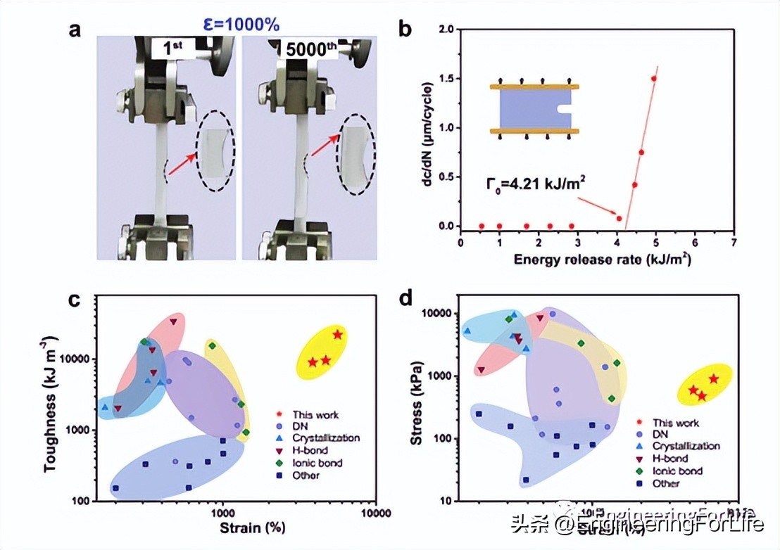 afm在纳米材料上的应用,afm有何应用