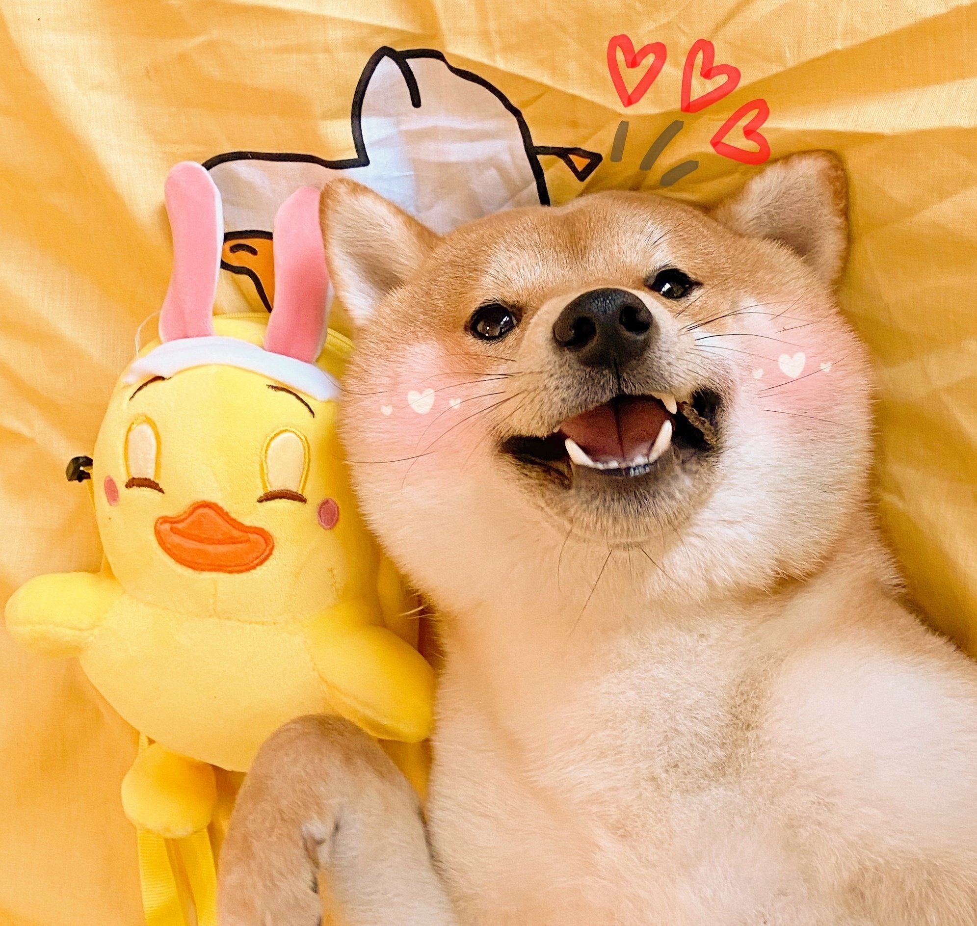 夸帅哥的文案沙雕,戏精脱口秀文案