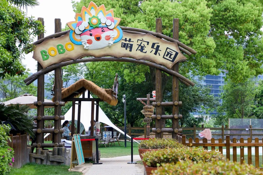 陈妙林直播,开元酒店集团董事长陈妙林