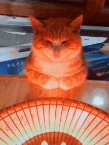 小心取暖神器变夺命凶器,家里有小朋友的取暖神器