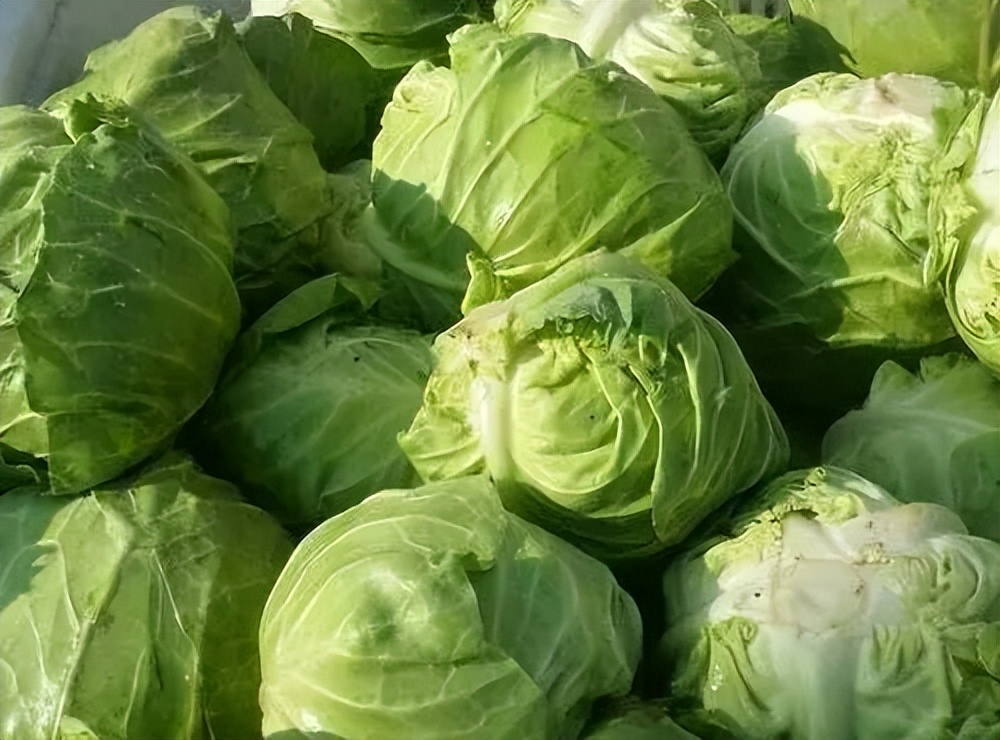 眼睛视力不好多吃点什么蔬菜,多吃这三种蔬菜对孩子视力有好处