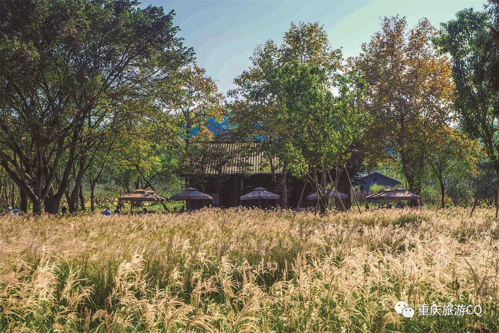 重庆人眼里的重庆好景区,重庆人眼里的江南