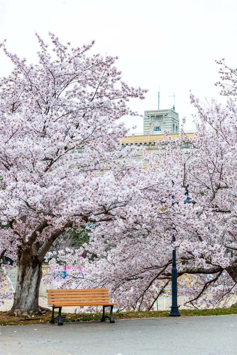 广东老司机推荐去哪里玩,五一假期最适合去哪儿玩儿